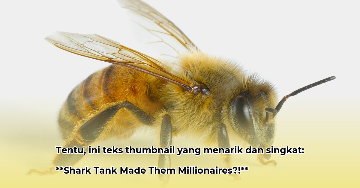 bee-d-vine-net-worth